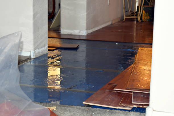 Professional Basement Flood Cleanup technician working in Central, AZ